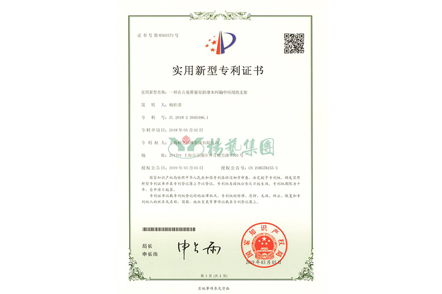 实用新型专利：一种在古墓葬墓室斜撑木纠偏中