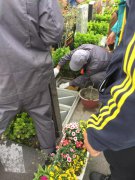 【天富娱乐人别样清明】2018年清明落葬工作圆满完成