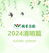 风起清明 遥寄相思|天富娱乐集团?2024清明篇