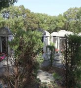 绿色生态葬：文明赓续的绿色选择