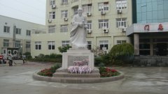 石雕匠心，镌刻医者风华